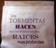 Haga click para ver la imagen ampliada tormentas hacen raices mas profundas.jpg